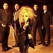 Artrosis - List pictures