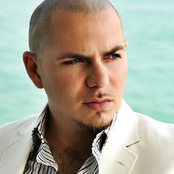 Pitbull - List pictures
