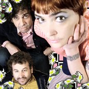 Dressy Bessy - List pictures