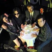 Tav Falco's Panther Burns - List pictures