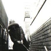 English Frank - List pictures