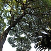 Vertical Horizon - List pictures