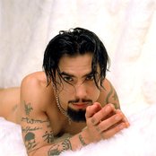 Dave Navarro - List pictures