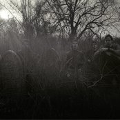 The Lines - List pictures