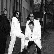 The Cascades - List pictures