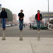 Greenleaf - List pictures