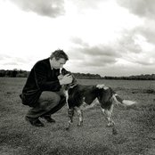 Olli Schulz - List pictures