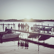 Foals - List pictures