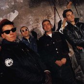 Molodoi - List pictures