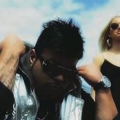 Aligator - List pictures