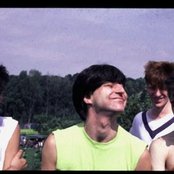 Chameleons - List pictures