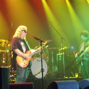 Gov't Mule - List pictures