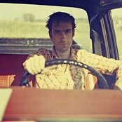 Andrew Bird - List pictures