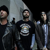 Transplants - List pictures