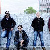 Cultura Profetica - List pictures