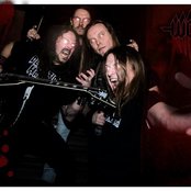 Wolf - List pictures