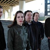 Loquat - List pictures