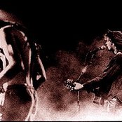 Levellers - List pictures