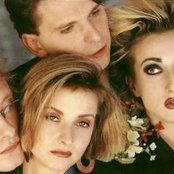 Propaganda - List pictures