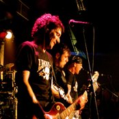 De Heideroosjes - List pictures