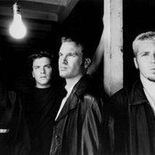 Machines Of Loving Grace - List pictures