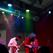 Miniature Tigers - List pictures