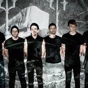 Toad - List pictures