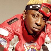 Elephant Man - List pictures