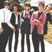 Flamin' Groovies - List pictures