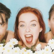 Movetron - List pictures