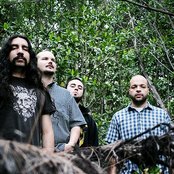 Torche - List pictures