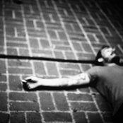 Daniel Johns - List pictures