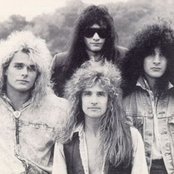 White Lion - List pictures