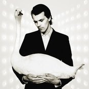 Kaada - List pictures