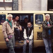 Insted - List pictures