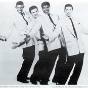 Jaguars - List pictures