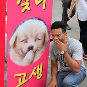 Toro Y Moi - List pictures