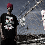 Dubb - List pictures