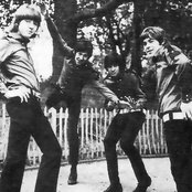 The Creation - List pictures