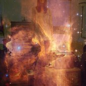 Blackbird Blackbird - List pictures