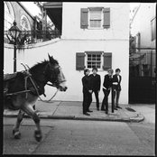 Spoon - List pictures