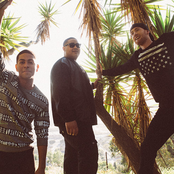 Life Of Dillon - List pictures