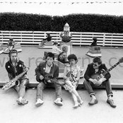 X-ray Spex - List pictures