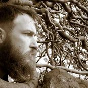 Coil - List pictures