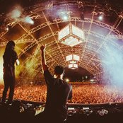 Dog Blood - List pictures