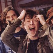 Vines - List pictures