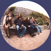 Acrimony - List pictures