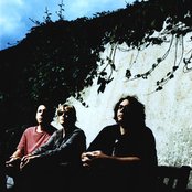 Yo La Tengo - List pictures