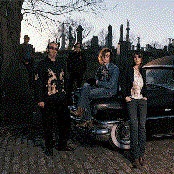 Ryan Adams & Cardinals - List pictures