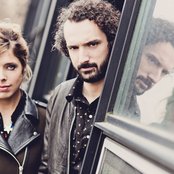 Cats On Trees - List pictures